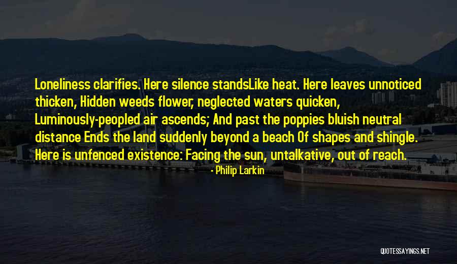 Sun And Beach Quotes By Philip Larkin Sun And Beach Quotes By Philip Larkin