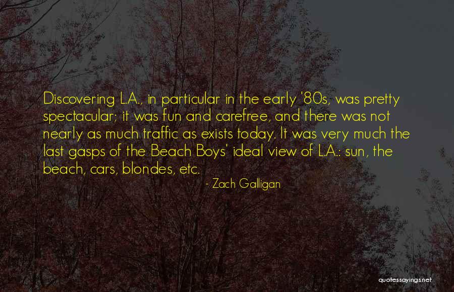 Sun And Beach Quotes By Zach Galligan