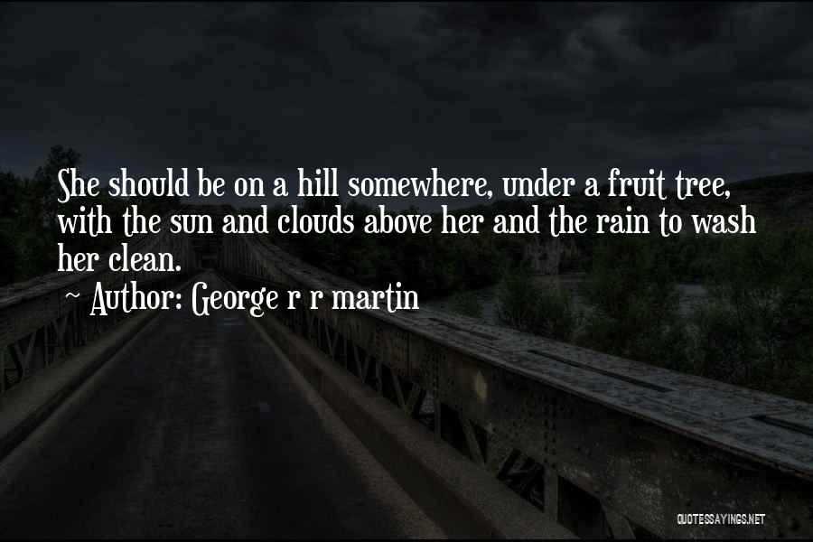 Sun And Clouds Quotes By George R R Martin