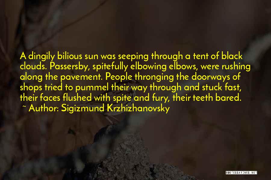Sun And Clouds Quotes By Sigizmund Krzhizhanovsky