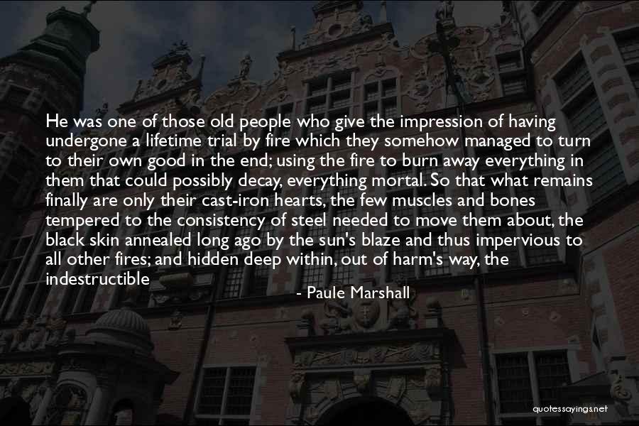 Sun And Fire Quotes By Paule Marshall Sun And Fire Quotes By Paule Marshall