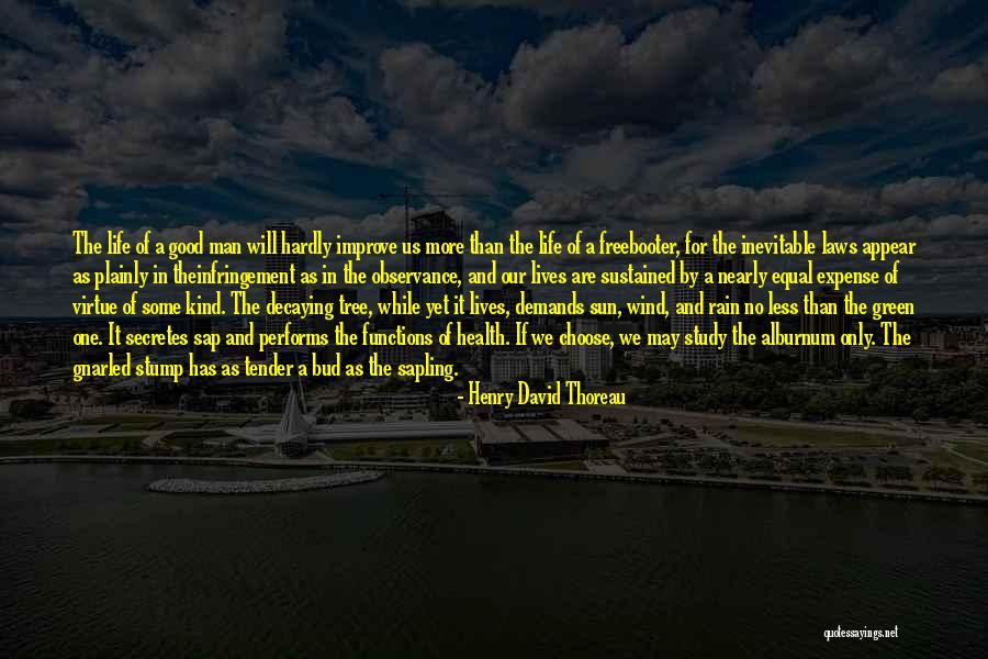 Sun And Health Quotes By Henry David Thoreau Sun And Health Quotes By Henry David Thoreau