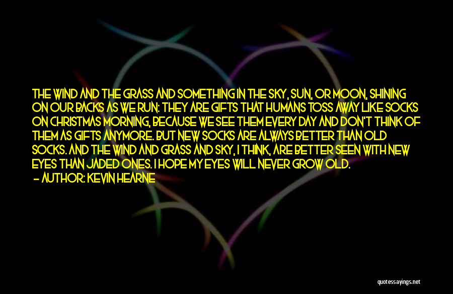 Sun And Hope Quotes By Kevin Hearne
