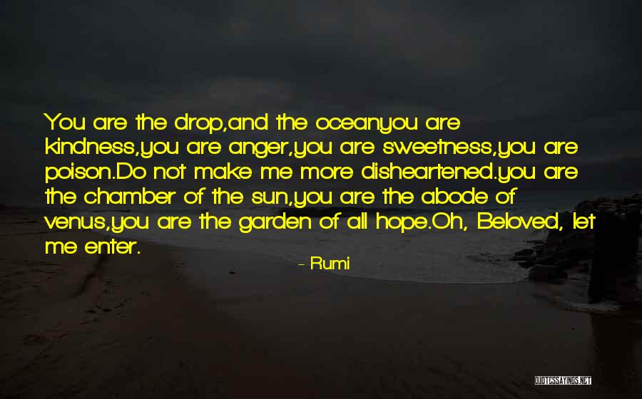 Sun And Hope Quotes By Rumi