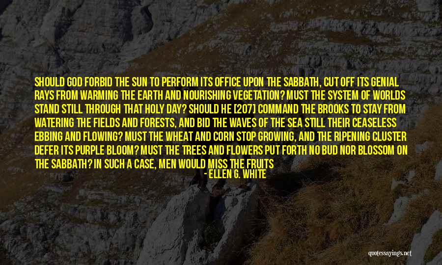 Sun And Its Rays Quotes By Ellen G. White Sun And Its Rays Quotes By Ellen G. White
