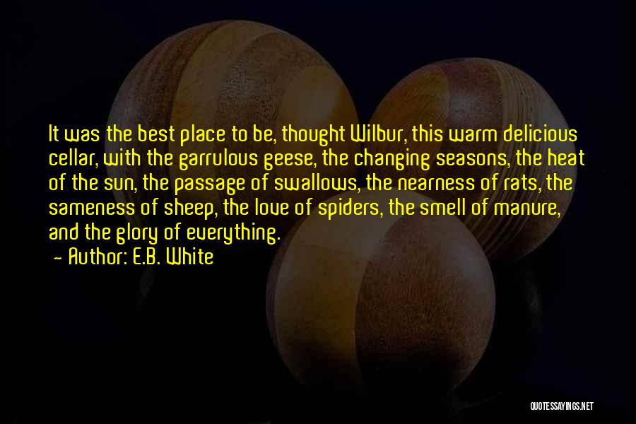 Sun And Love Quotes By E.B. White