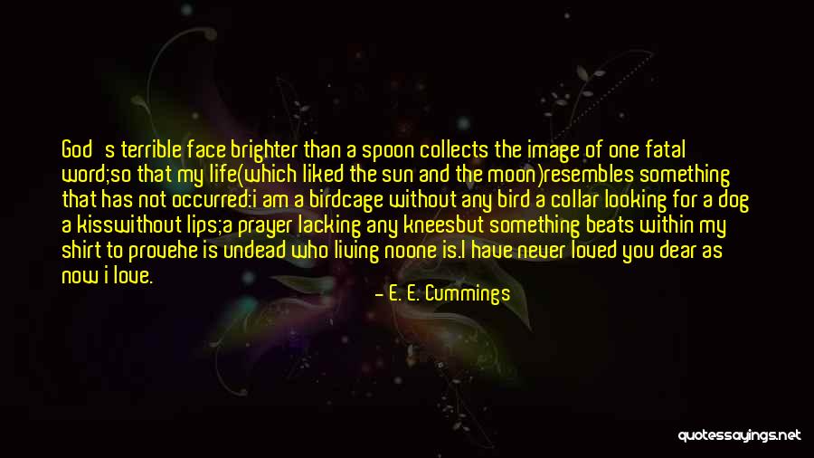 Sun And Moon Life Quotes By E. E. Cummings