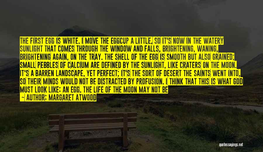 Sun And Moon Life Quotes By Margaret Atwood