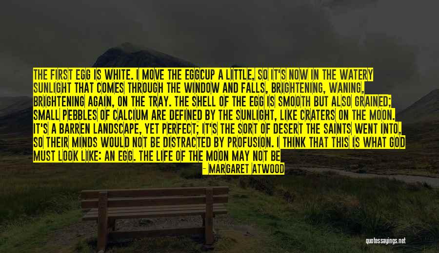 Sun And Moon Life Quotes By Margaret Atwood