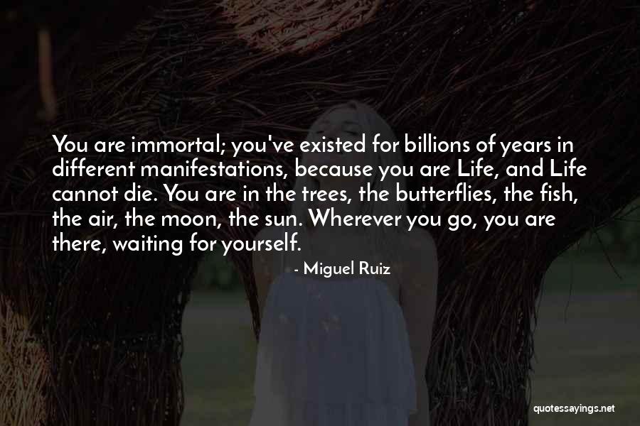 Sun And Moon Life Quotes By Miguel Ruiz