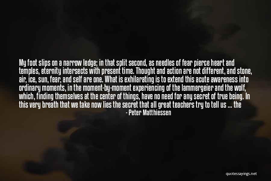 Sun And Mountains Quotes By Peter Matthiessen Sun And Mountains Quotes By Peter Matthiessen