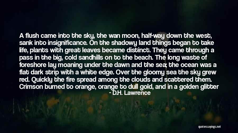 Sun And Ocean Quotes By D.H. Lawrence Sun And Ocean Quotes By D.H. Lawrence