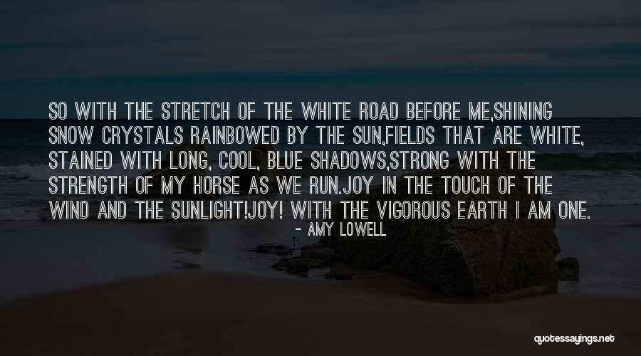 Sun And Shadows Quotes By Amy Lowell Sun And Shadows Quotes By Amy Lowell