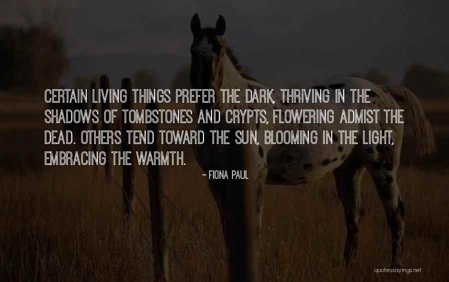 Sun And Shadows Quotes By Fiona Paul