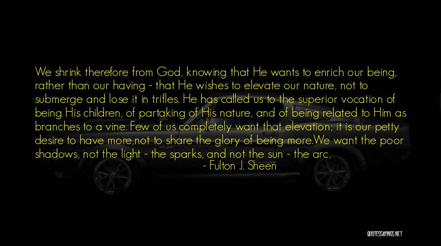 Sun And Shadows Quotes By Fulton J. Sheen Sun And Shadows Quotes By Fulton J. Sheen
