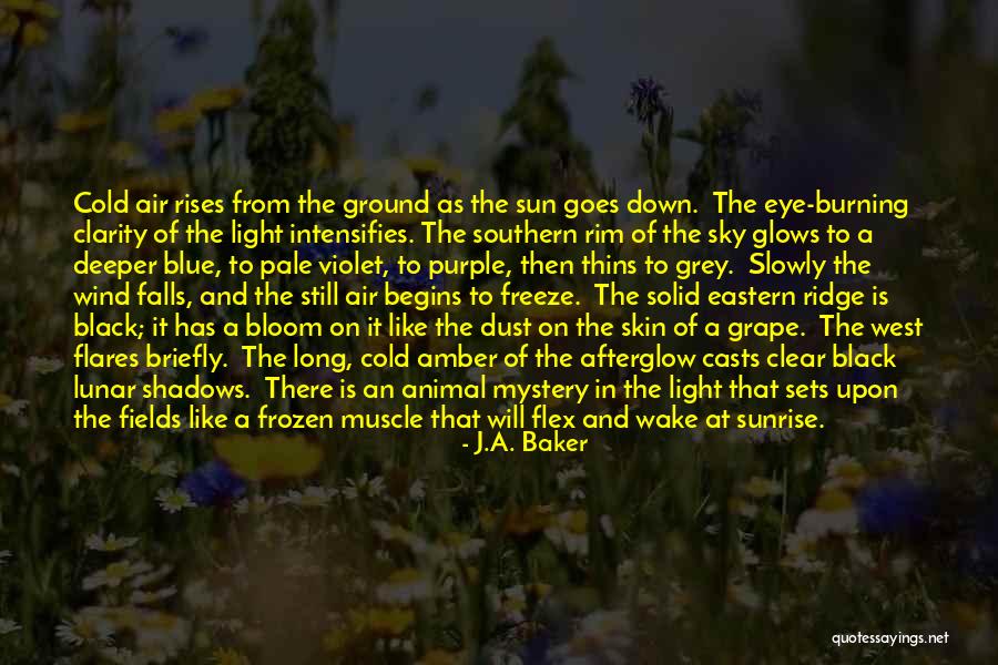 Sun And Shadows Quotes By J.A. Baker Sun And Shadows Quotes By J.A. Baker