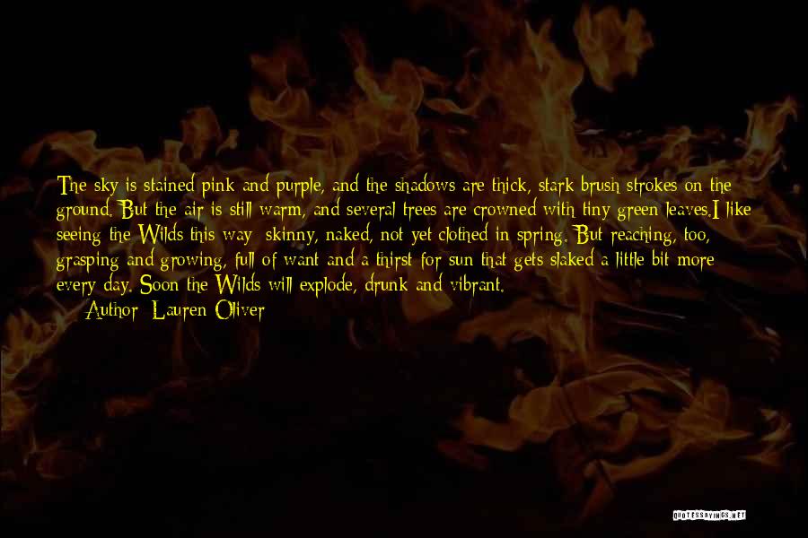Sun And Shadows Quotes By Lauren Oliver