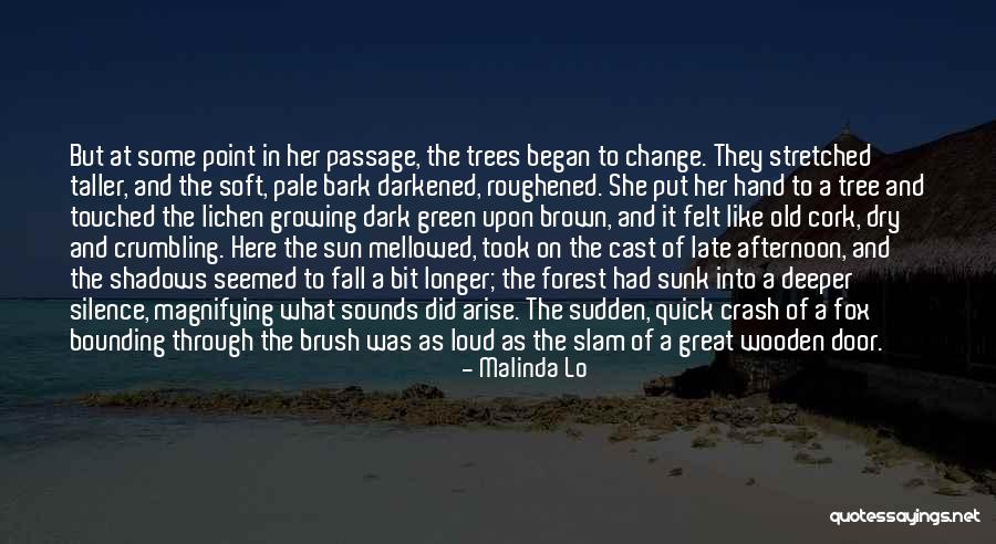Sun And Shadows Quotes By Malinda Lo Sun And Shadows Quotes By Malinda Lo