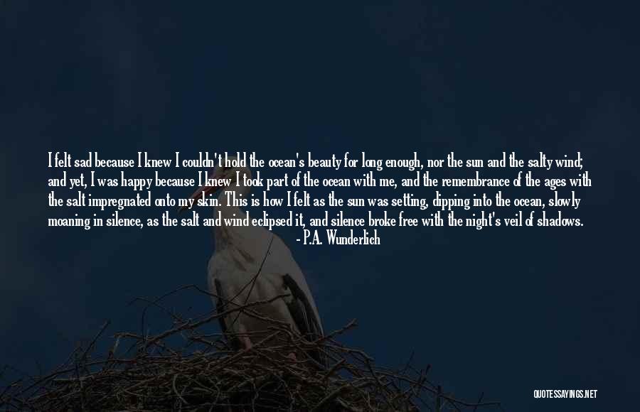 Sun And Shadows Quotes By P.A. Wunderlich Sun And Shadows Quotes By P.A. Wunderlich