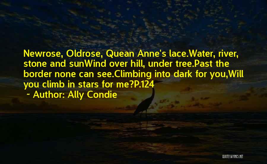 Sun And Stars Quotes By Ally Condie