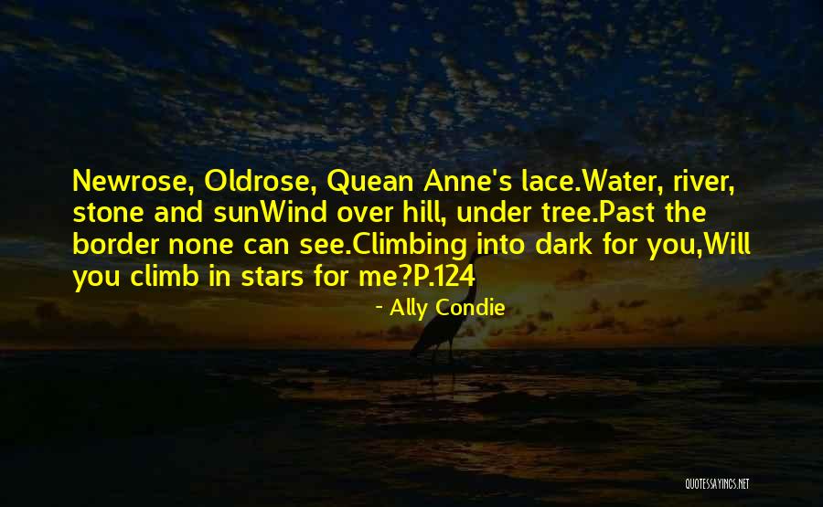 Sun And Stars Quotes By Ally Condie