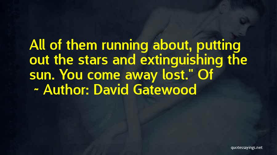 Sun And Stars Quotes By David Gatewood