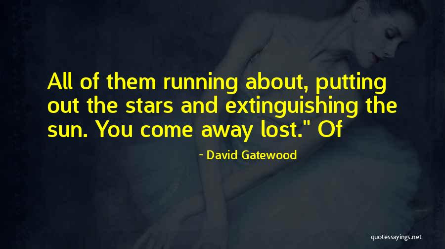 Sun And Stars Quotes By David Gatewood