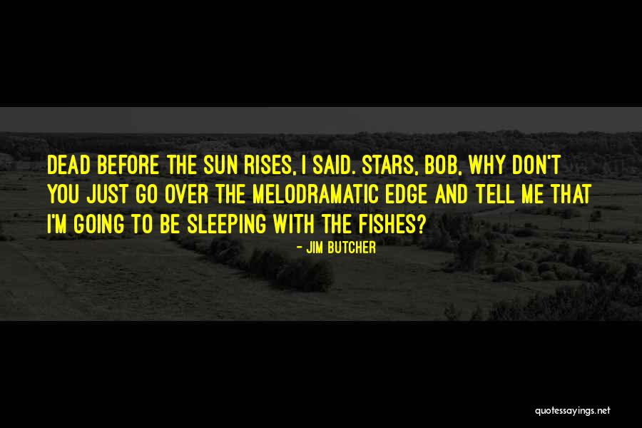 Sun And Stars Quotes By Jim Butcher