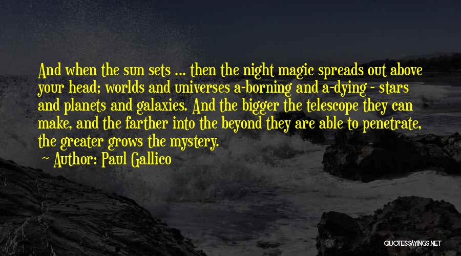 Sun And Stars Quotes By Paul Gallico