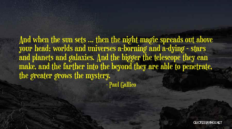 Sun And Stars Quotes By Paul Gallico