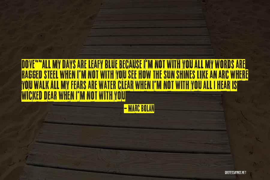 Sun And Steel Quotes By Marc Bolan Sun And Steel Quotes By Marc Bolan