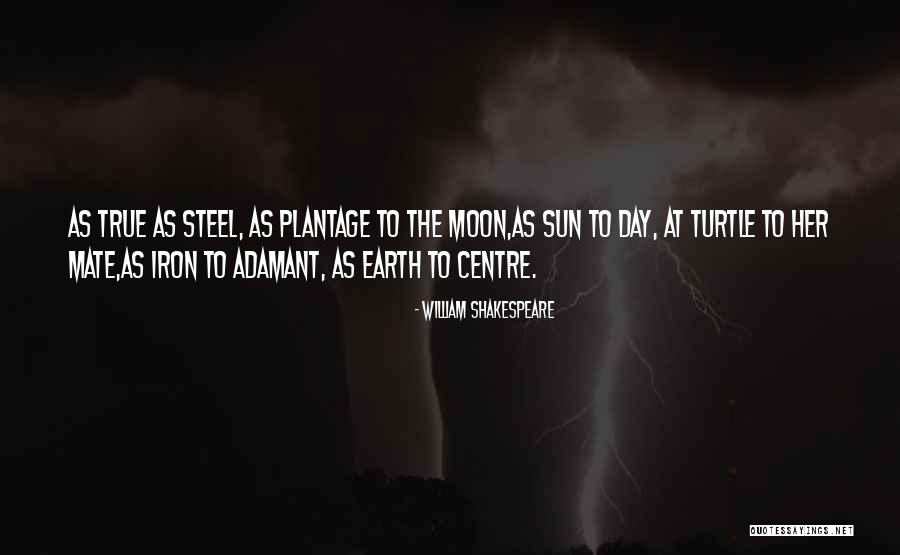 Sun And Steel Quotes By William Shakespeare Sun And Steel Quotes By William Shakespeare