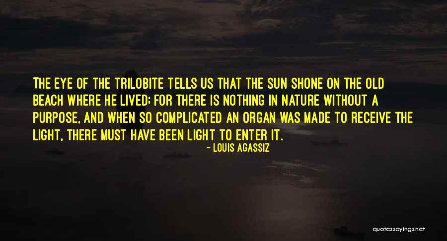 Sun And The Beach Quotes By Louis Agassiz Sun And The Beach Quotes By Louis Agassiz