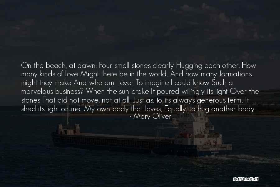Sun And The Beach Quotes By Mary Oliver Sun And The Beach Quotes By Mary Oliver