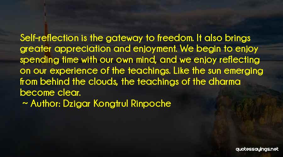 Sun Behind Clouds Quotes By Dzigar Kongtrul Rinpoche