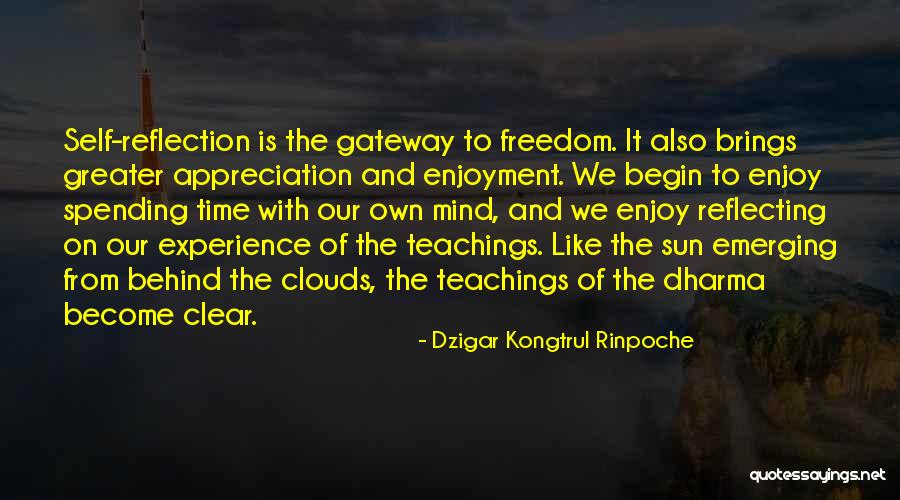 Sun Behind Clouds Quotes By Dzigar Kongtrul Rinpoche