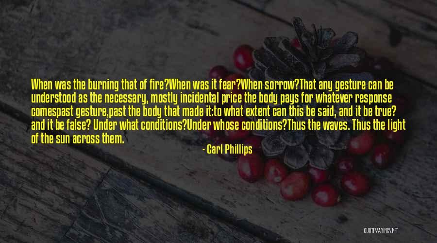 Sun Burning Quotes By Carl Phillips