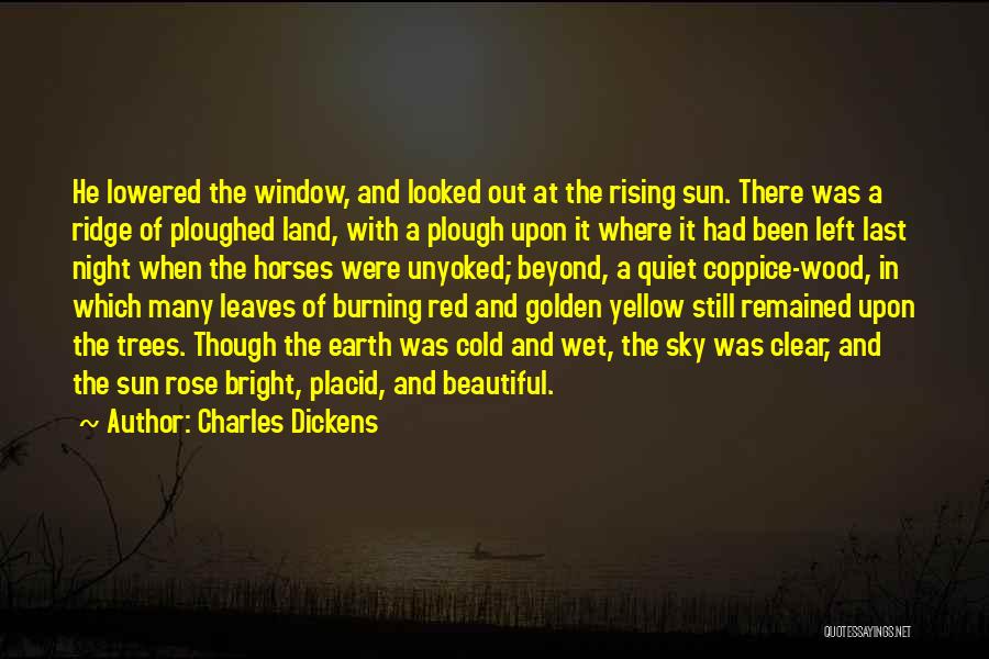 Sun Burning Quotes By Charles Dickens