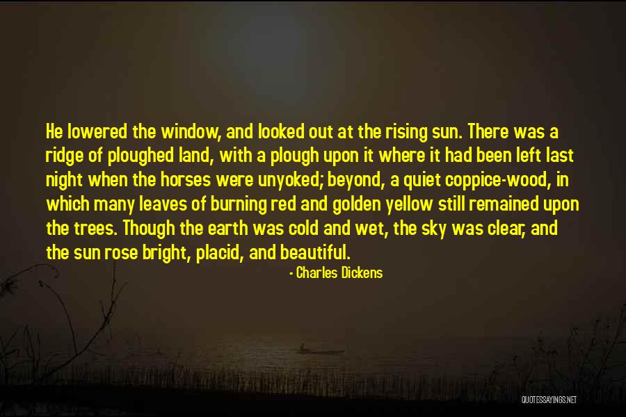 Sun Burning Quotes By Charles Dickens