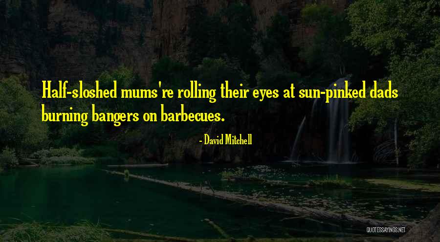 Sun Burning Quotes By David Mitchell