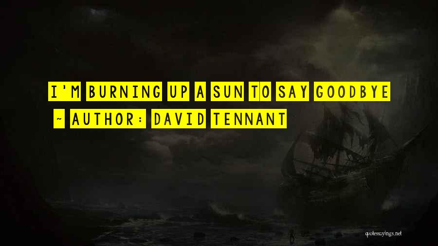 Sun Burning Quotes By David Tennant