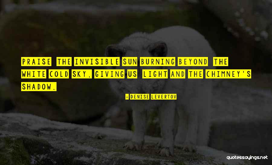 Sun Burning Quotes By Denise Levertov