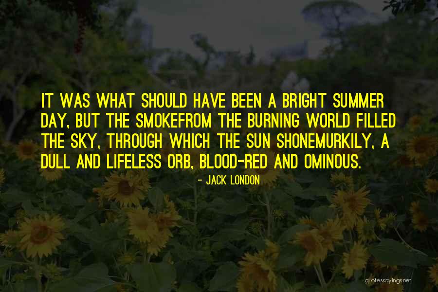 Sun Burning Quotes By Jack London