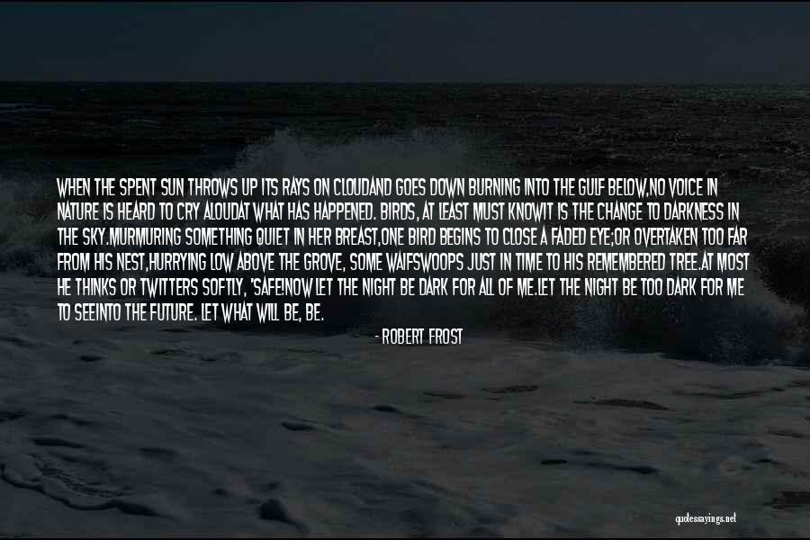 Sun Burning Quotes By Robert Frost