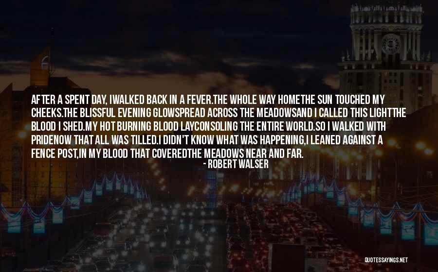 Sun Burning Quotes By Robert Walser