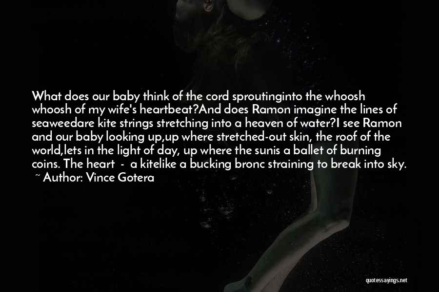 Sun Burning Quotes By Vince Gotera