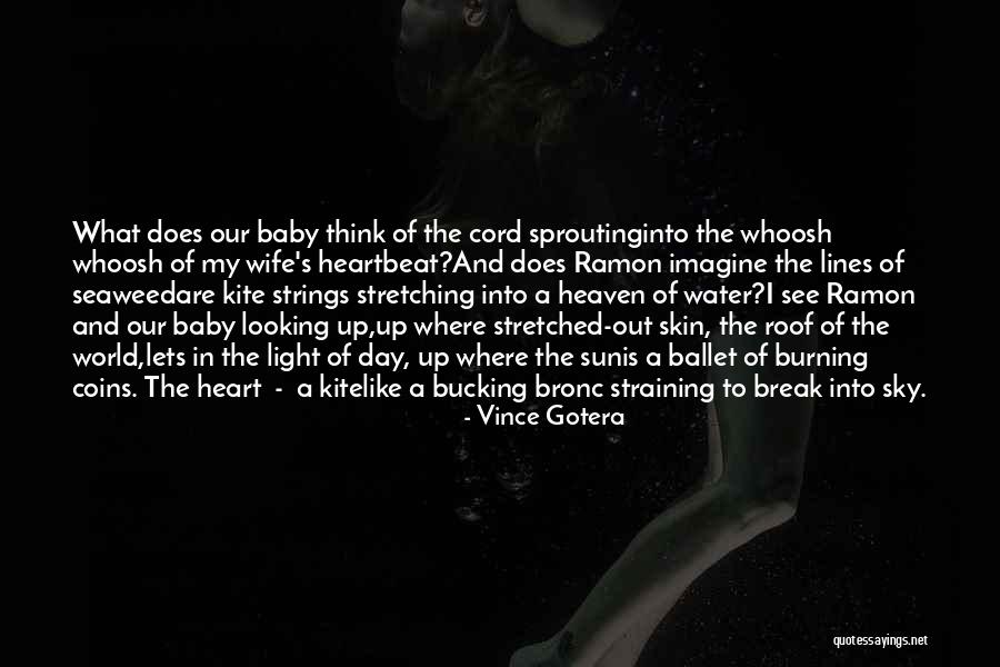 Sun Burning Quotes By Vince Gotera