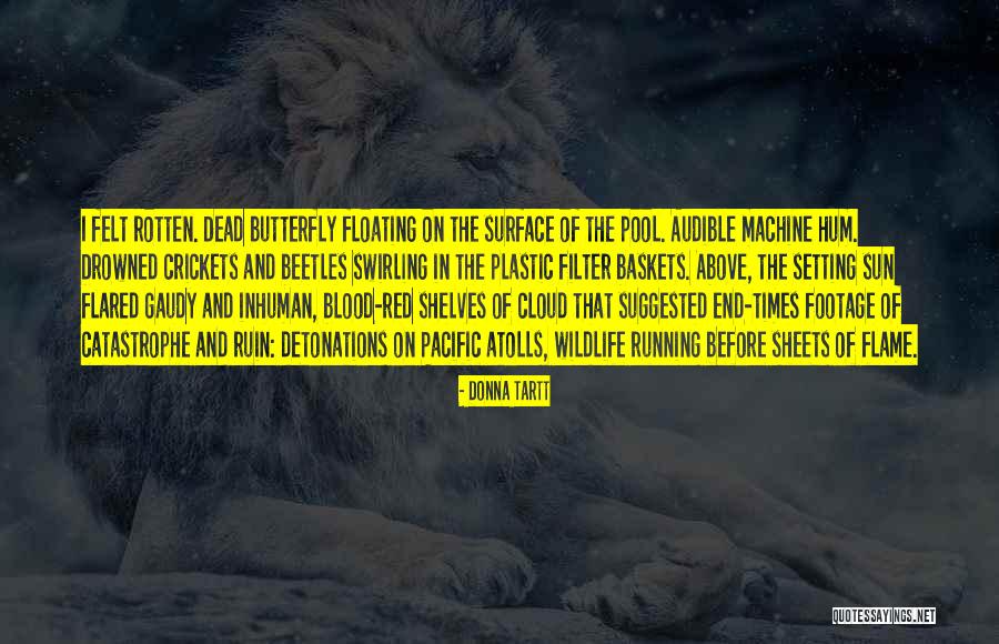 Sun Cloud Quotes By Donna Tartt Sun Cloud Quotes By Donna Tartt