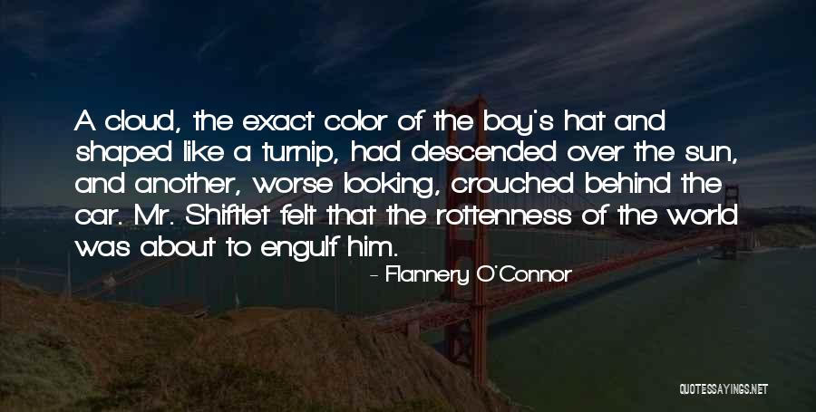 Sun Cloud Quotes By Flannery O'Connor Sun Cloud Quotes By Flannery O'Connor