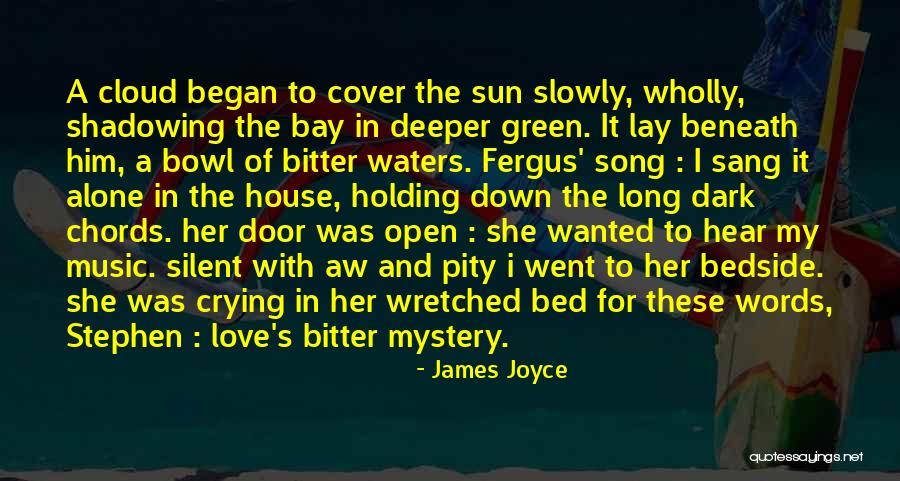 Sun Cloud Quotes By James Joyce